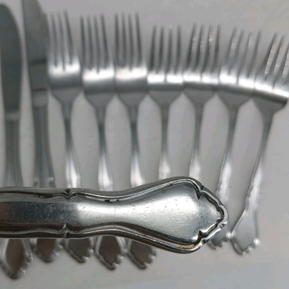 10X Fks Bk Washington Forge SPRING MEADOW Stainless Flatware Table Forks Knives